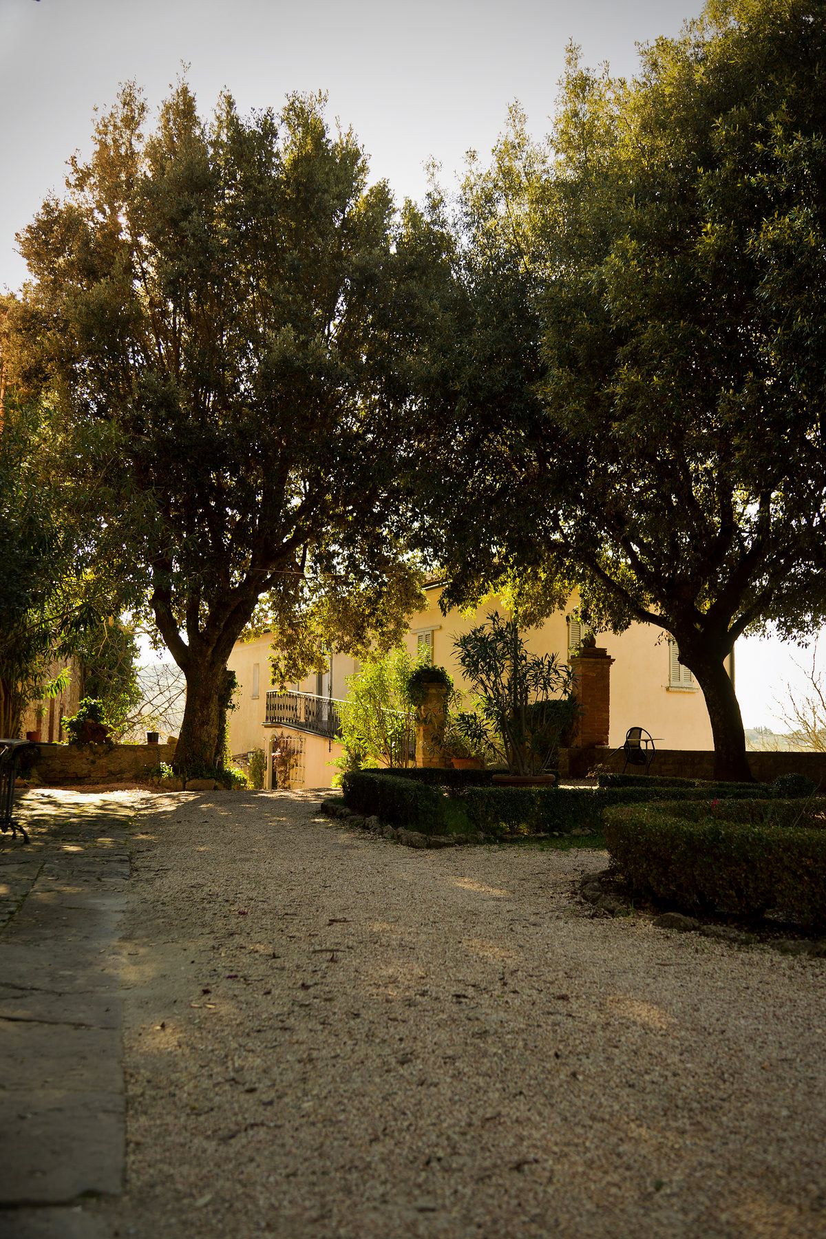Volterra-Blog 7