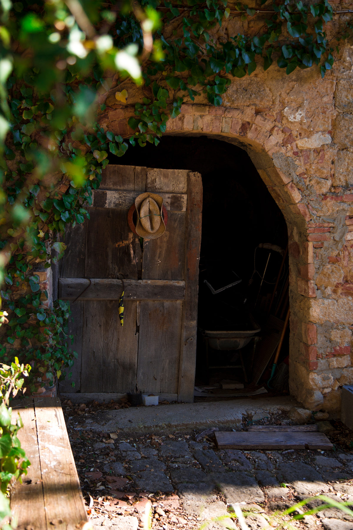Volterra-Blog 8