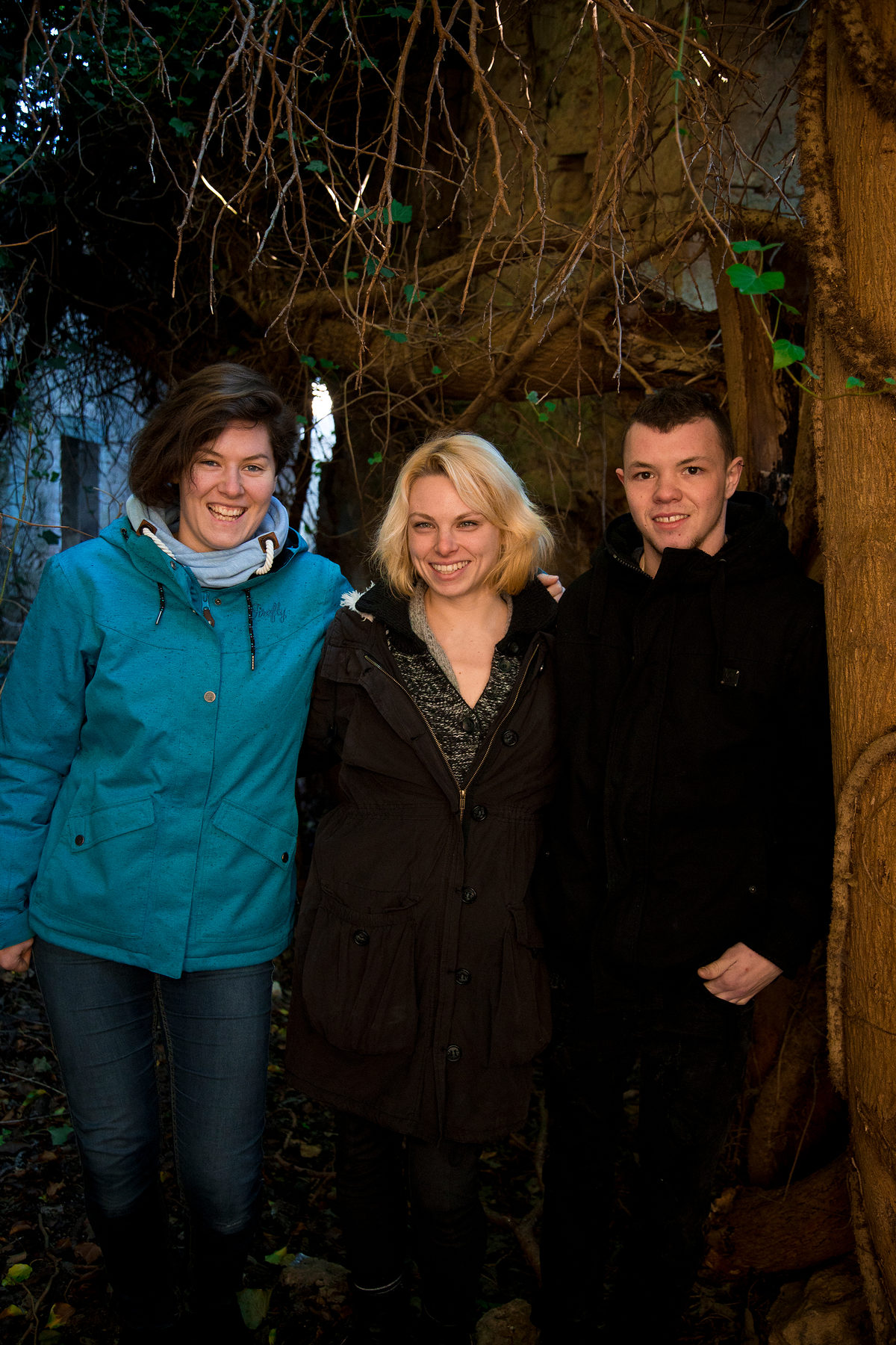 volterra-blog-1101 2