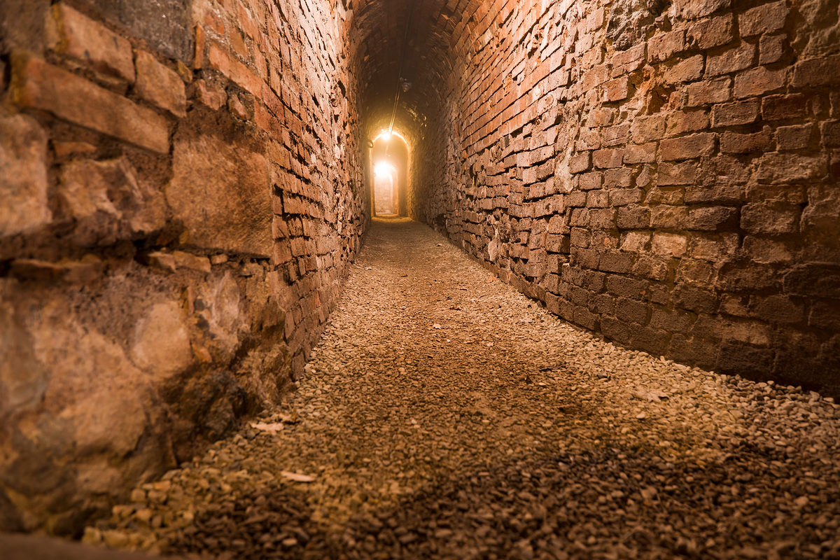 volterra-blog-2601-7