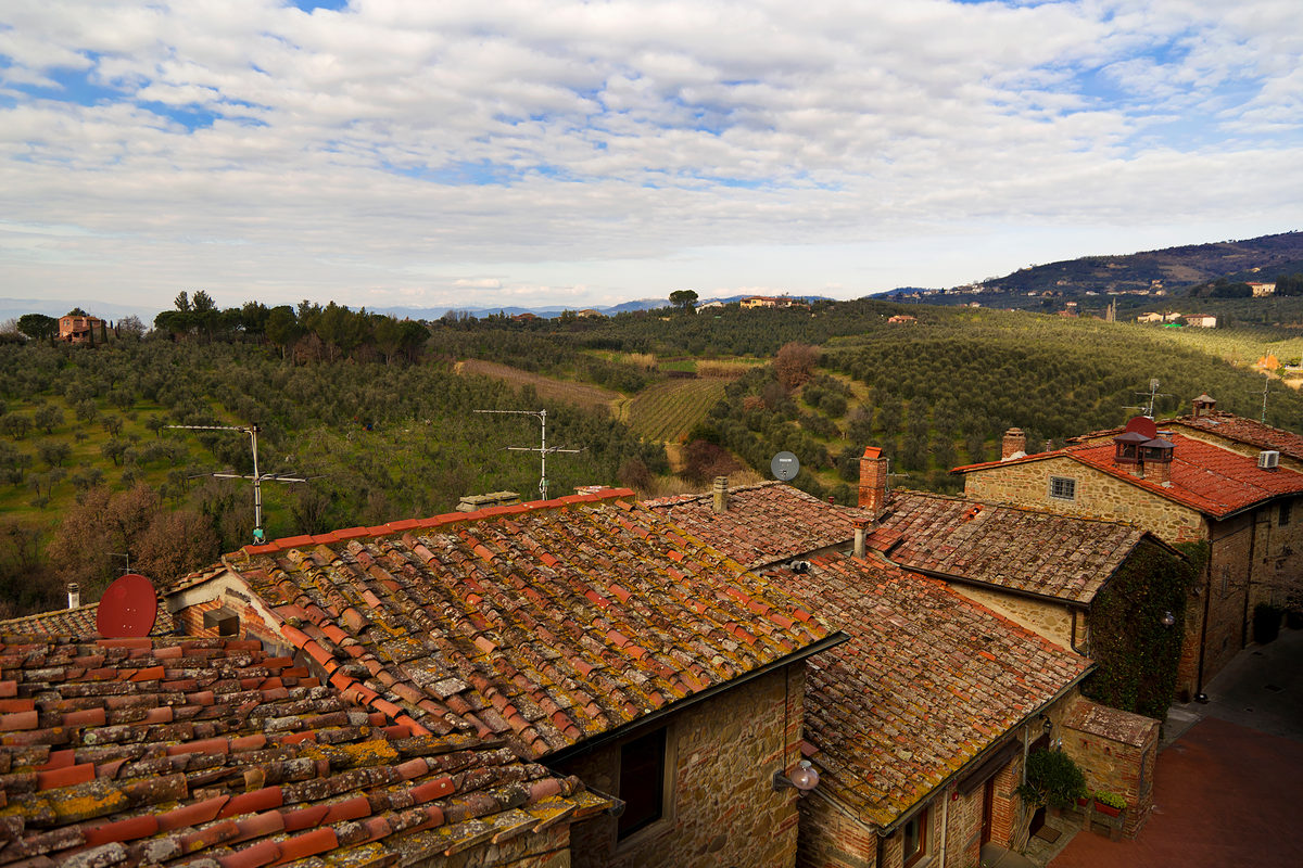 volterra-blog-2801-15