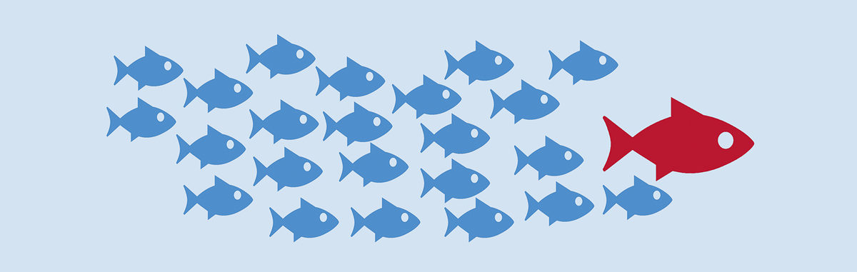 News-Mutmacher-2018-Fische