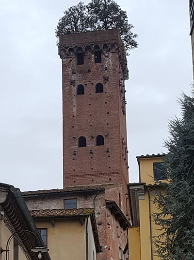 Torre Guinigi in der Altstadt von Lucca
