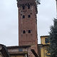 Torre Guinigi in der Altstadt von Lucca