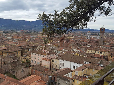 Blick auf das traditionsreiche Städtchen Lucca.