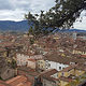 Blick auf das traditionsreiche Städtchen Lucca.