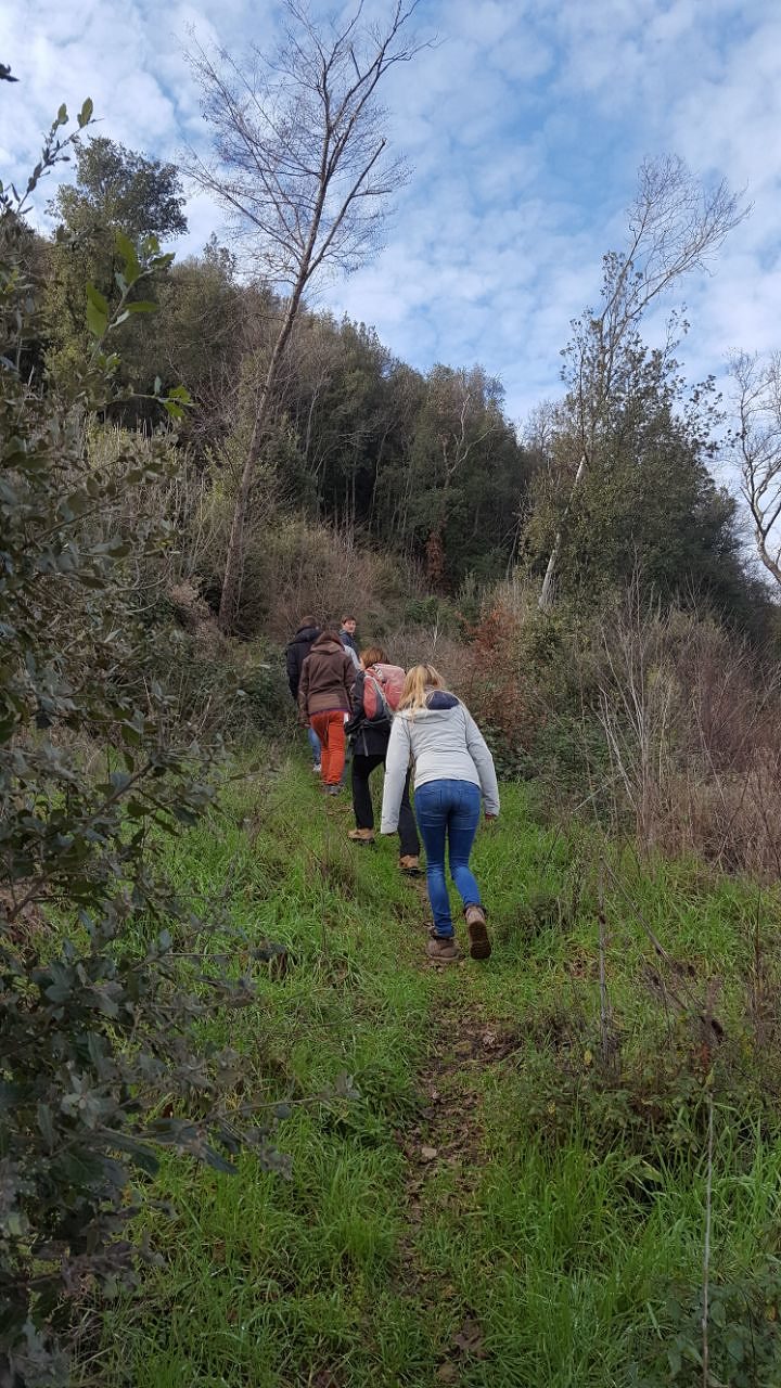 volterra-blog-impressionen-volterra (16)