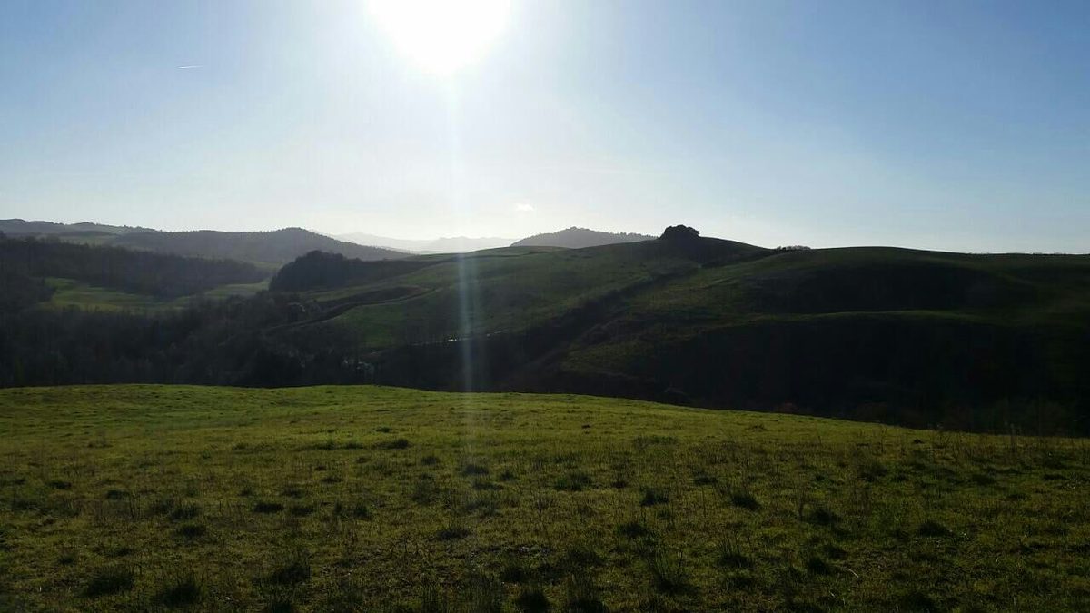 Blick über die Landschaft. Blick über die Landschaft.