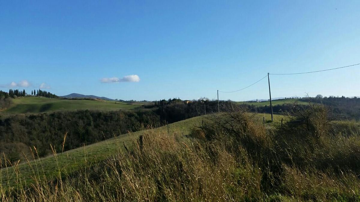 Blauer Himmel, grüne Wiesen - hier lässt es sich definitiv aushalten. Blauer Himmel, grüne Wiesen - hier lässt es sich definitiv aushalten.