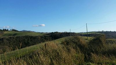 Blauer Himmel, grüne Wiesen - hier lässt es sich definitiv aushalten.