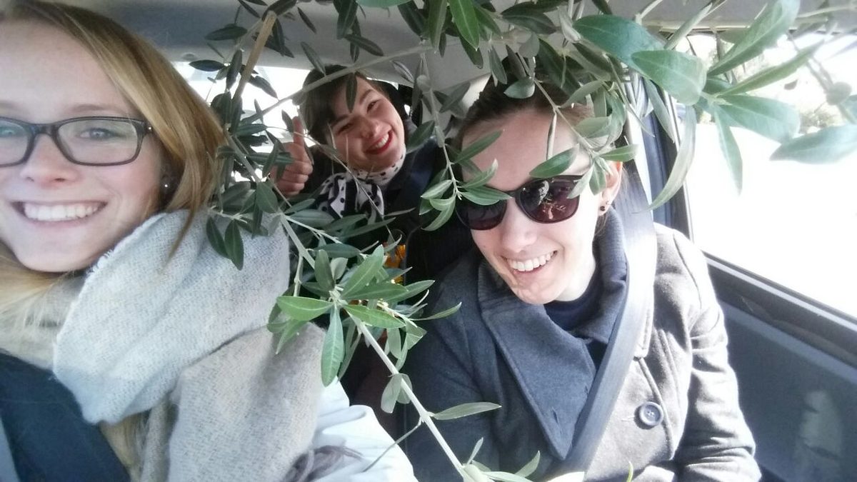 Bevor es zum Abschiedsessen geht transportieren Lisa, Steffi und Evelyn noch einen Olivenbaum, den Lisa als Andenken mit in die Heimat nimmt. Bevor es zum Abschiedsessen geht transportieren Lisa, Steffi und Evelyn noch einen Olivenbaum, den Lisa als Andenken mit in die Heimat nimmt.
