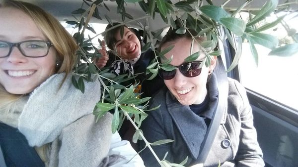 Bevor es zum Abschiedsessen geht transportieren Lisa, Steffi und Evelyn noch einen Olivenbaum, den Lisa als Andenken mit in die Heimat nimmt.