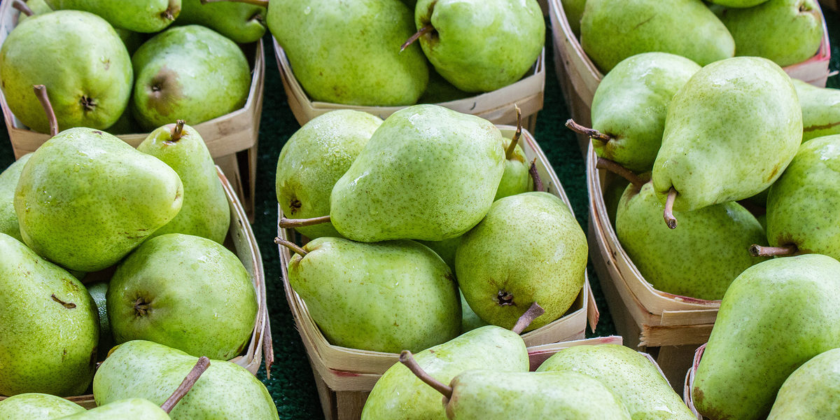 Bio-Obst-Kisten Bio-Obst-Kisten