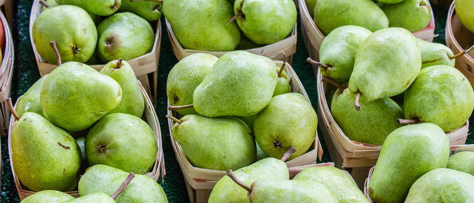 Bio-Obst-Kisten Bio-Obst-Kisten