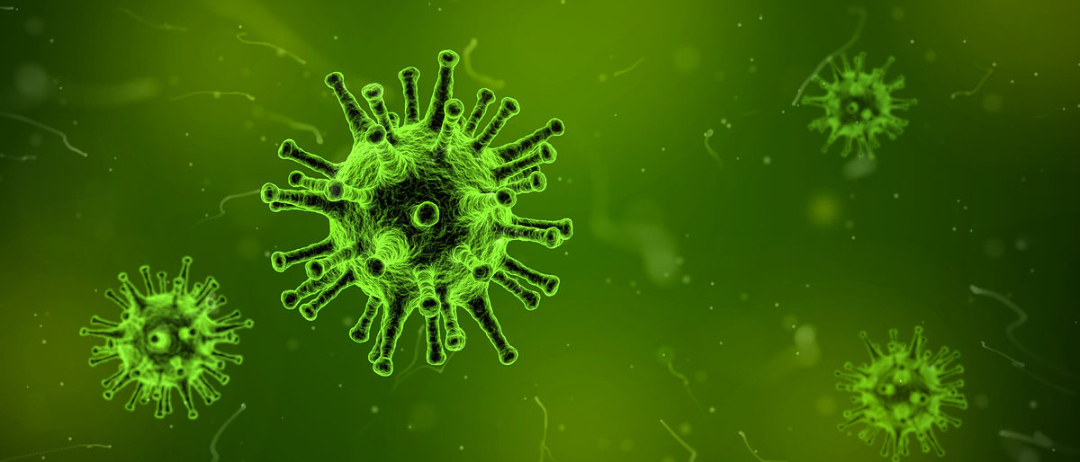 News-Corona-Virus-1