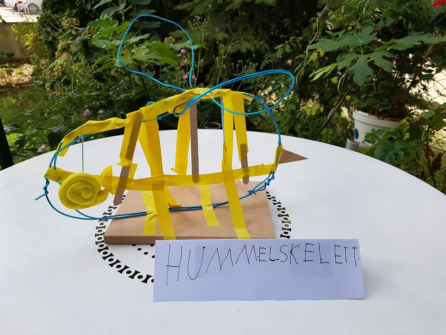 "Hummelskelett" - Hannes (7)