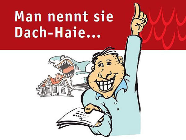 News-Dachhaie-2021