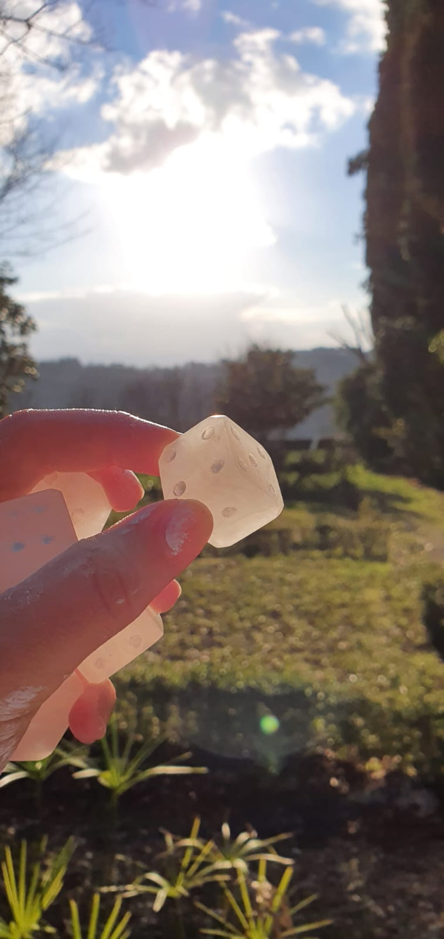 ... bis hin zum Würfel ist alles dabei!