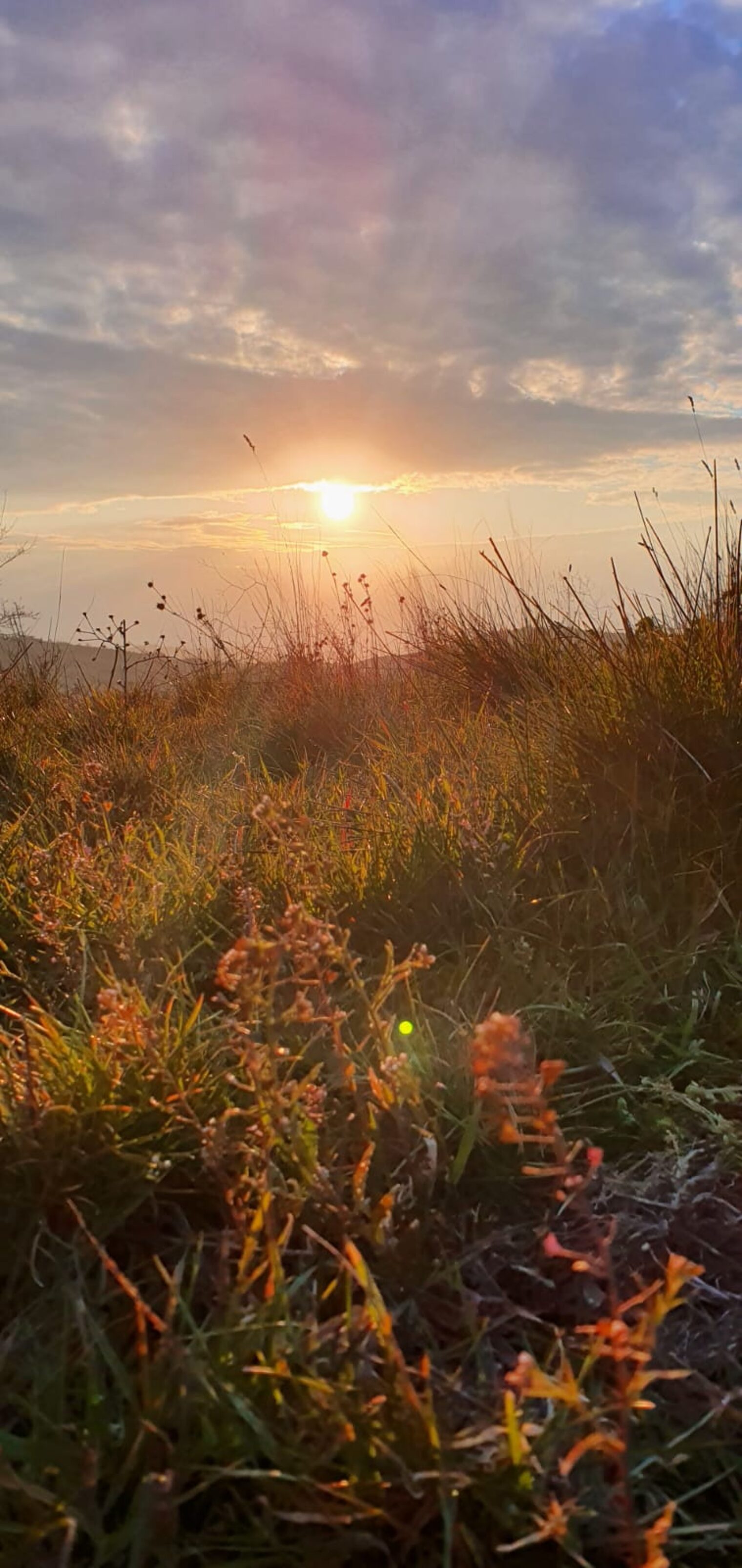 Volterra-2022-Ausflug-Ente-2