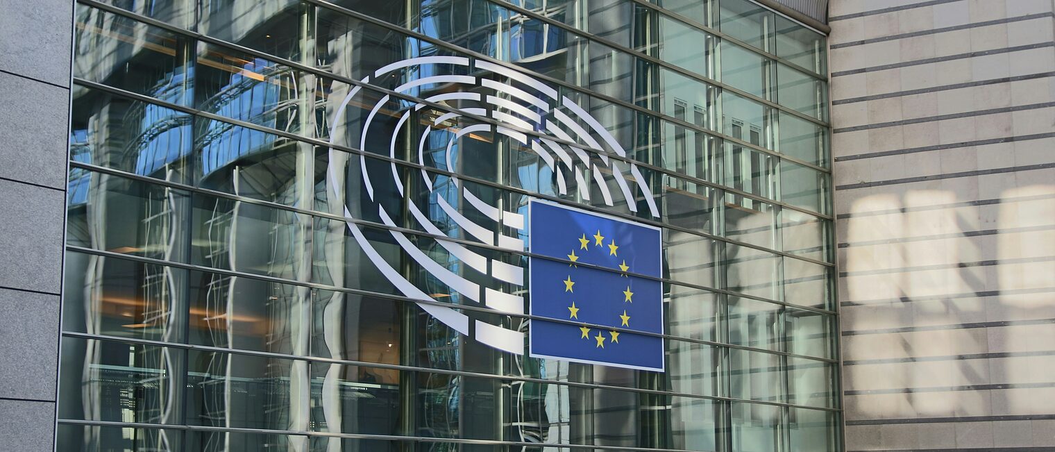 Europawahl-2024-Parlament